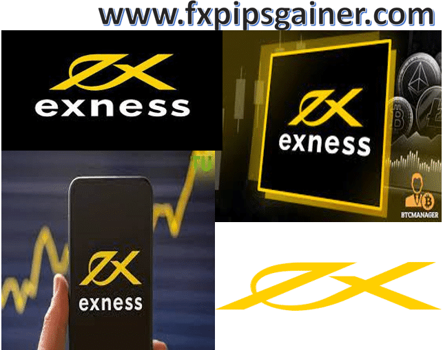 Understanding the Exness Broker A Comprehensive Review Understanding the Exness Broker A Comprehensive Review