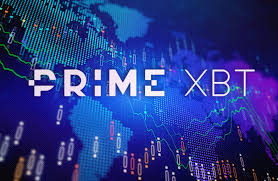 How Many PrimeXBT Users Exploring the Growing Community How Many PrimeXBT Users Exploring the Growing Community