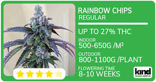 Exploring the World of Weed Seeds Ohio 0 Exploring the World of Weed Seeds Ohio 0