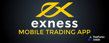 Common Exness Withdrawal Problems and How to Solve Them