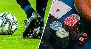 Exploring the Features of betwinner The Ultimate Sports Betting Experience